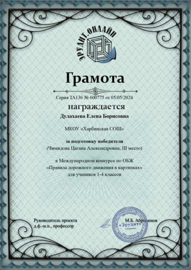 Дулахаева ПДД