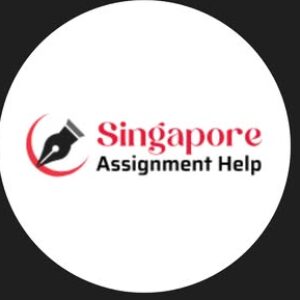 Логотип группы Best Singapore Assignment Help